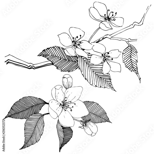 Apple tree in a vector style isolated. Full name of the plant: Apple tree. Vector flower for background, texture, wrapper pattern, frame or border.