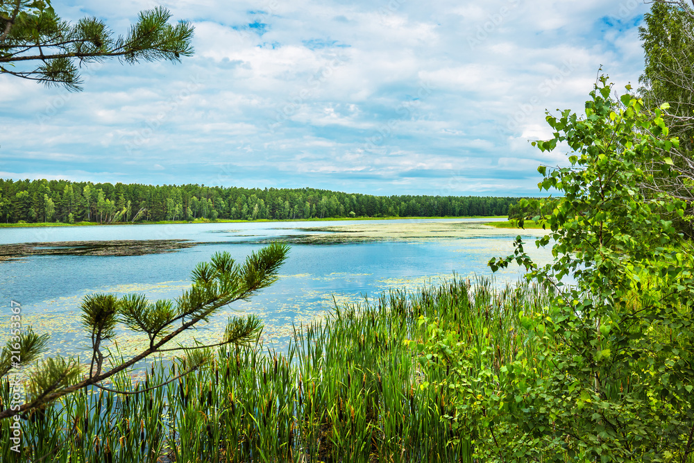 Forest lake. Western Siberia,Russia