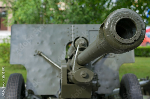 Wallpaper Mural a sample of a military cannon close-up on the background of a residential area Torontodigital.ca