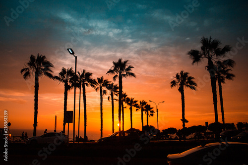 Silhouette of palm trees, street lights and cars on the Miraflores boardwalk, Lima, Peru during sunset