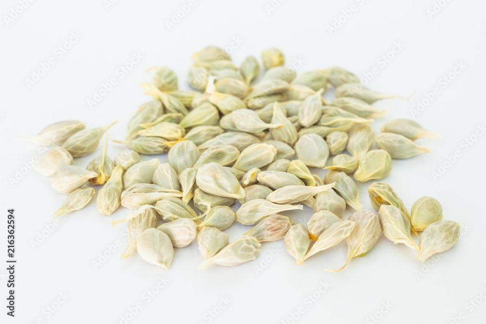 seed orange fruit fresh on white background seed orange fruit fresh on white background