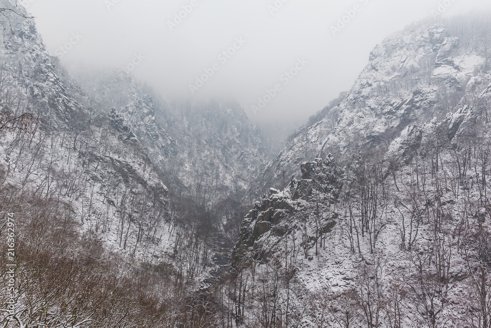 Fototapeta premium Bodetal im Harz Winterlandschaft