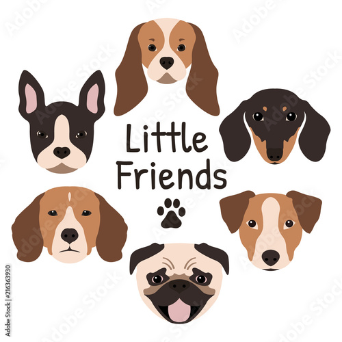 Set of 6 dog icons featuring the muzzle of a Pug, French Bulldog, Jack Russel Terrier, Dachshund, Beagle and Cavalier King Charles Spaniel. Vector illustration.