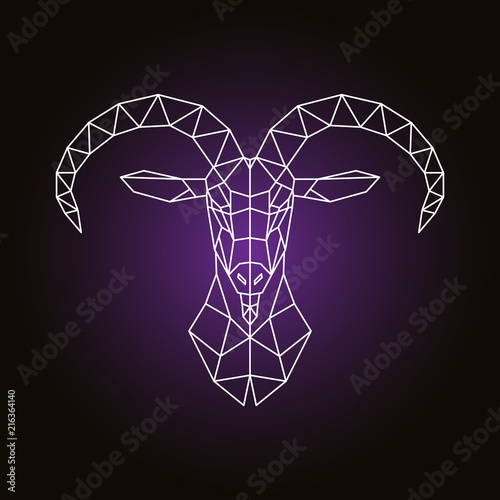 Polygonal Mountain goat emblem. Design template for business. Low poly style. Vector illustration. photo