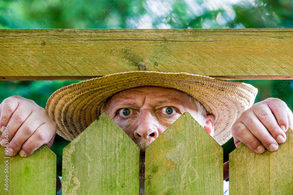 ein neugieriger Nachbar sieht über den Gartenzaun – Stock-Foto | Adobe Stock