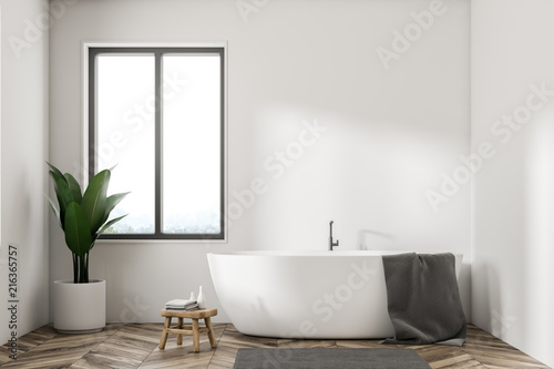 White bathtub minimalistic white bathroom, plant