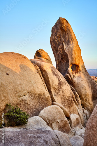 Unique rock formations at Joshua Tree National Park at sunset, California, USA. 