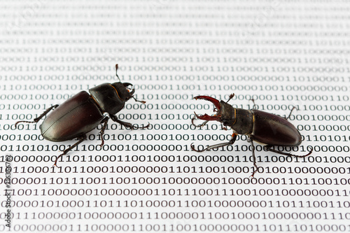 Bug's search in programm code. Testing software, quality assurance.