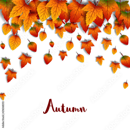 Leaves autumn fall season template.vector illustration