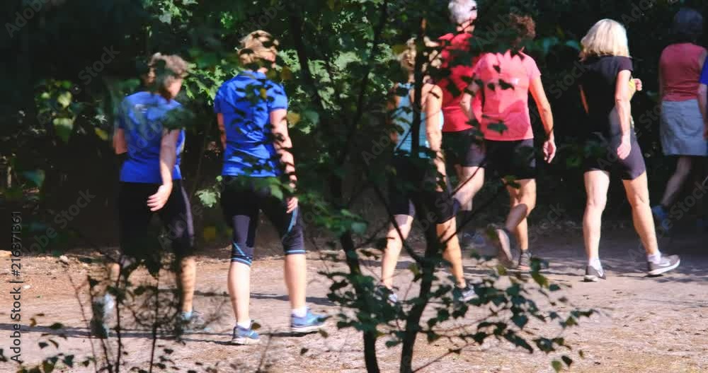 Group of People Nordic Walking Training in Forest Group of People Nordic Walking Training in Forest