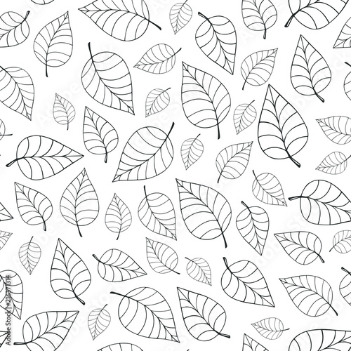 Falling foliage pattern. Black and white seamless hand-drawn vector background.