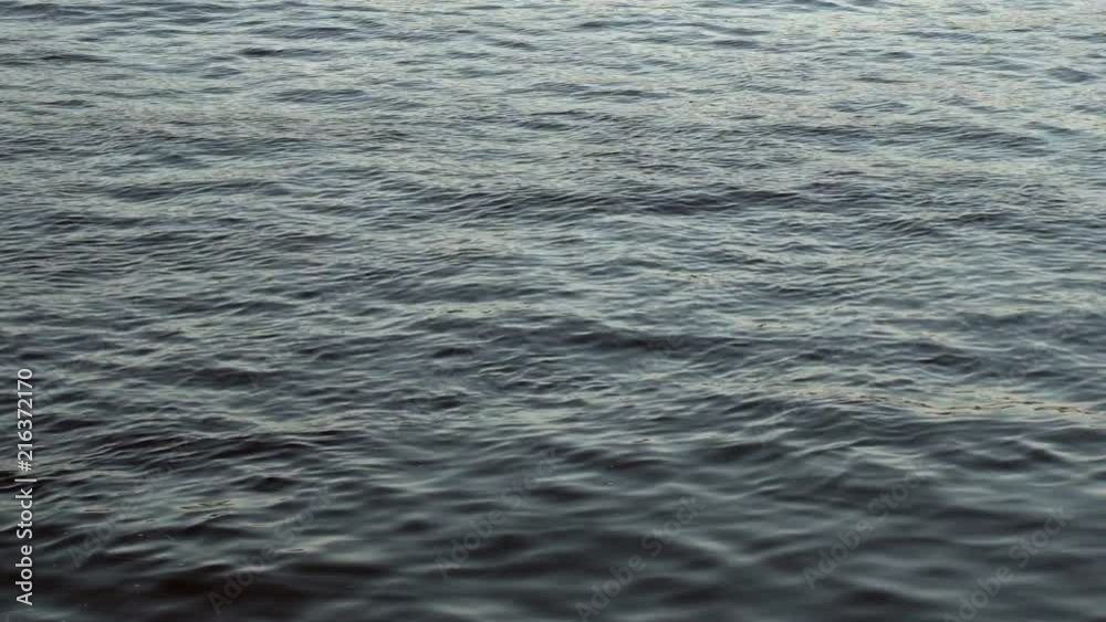 Cinematic Dark Water in the river look dramatic Cinematic Dark Water in the river look dramatic