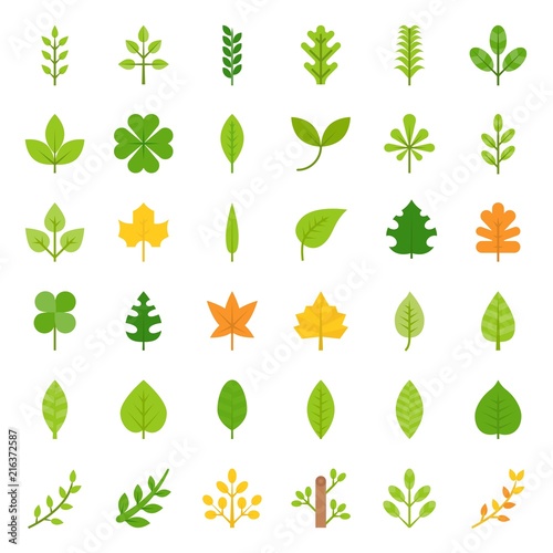 Leaves and branch icon set  flat design