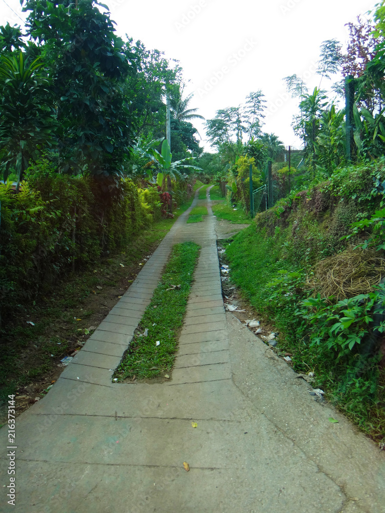 Scene of country outside of Vila, Efate, Vanuatu. Scene of country outside of Vila, Efate, Vanuatu.