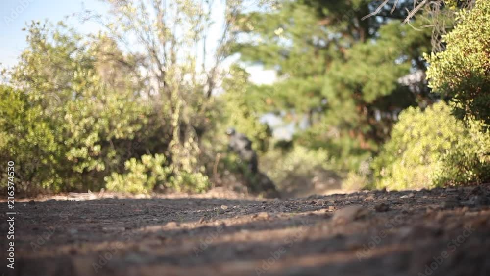 mountain bike cornering on a single track mountain bike cornering on a single track