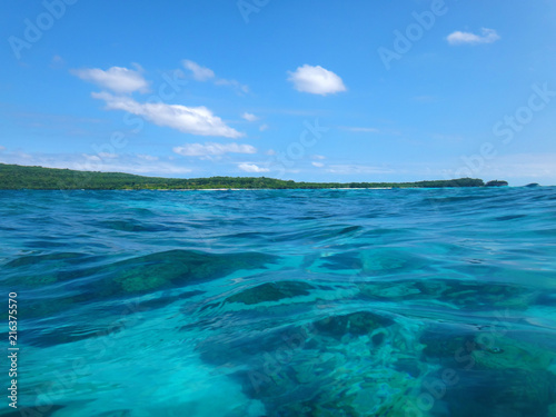 Sealife of Tranquility Island, Efate, Vanuatu © lifeofriley