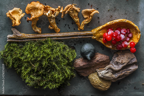 moss mushrooms berries