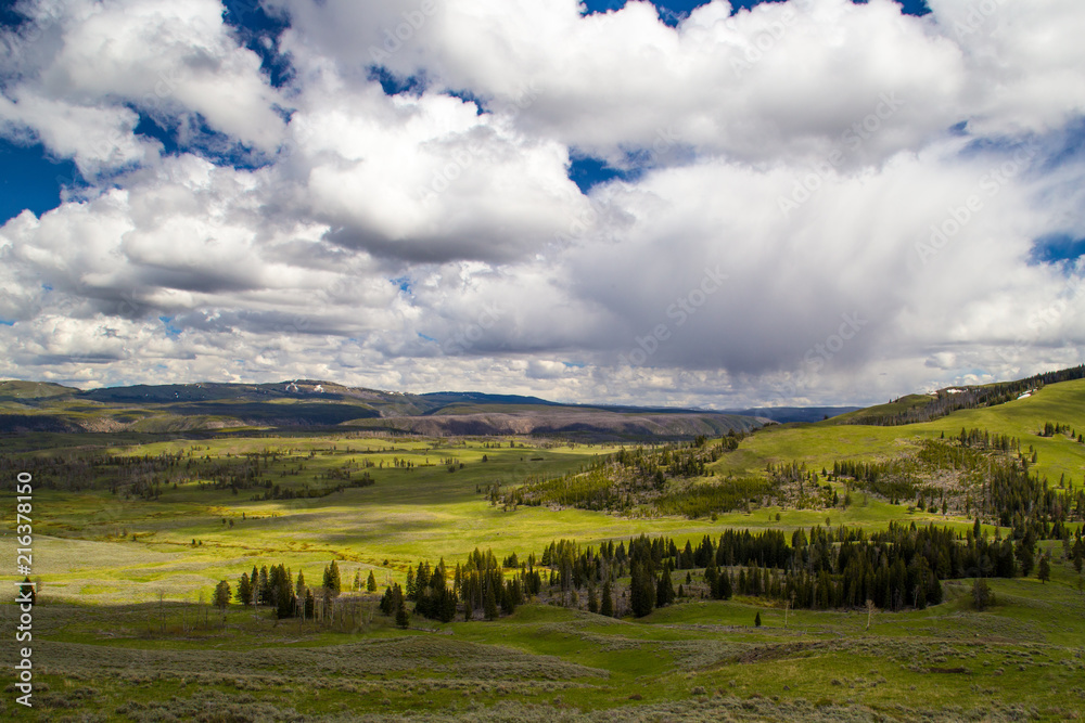 Panorami nella Lamar Valley, valle di Lamar nel parco Nazionale Yellowstone con bisonti al pascolo