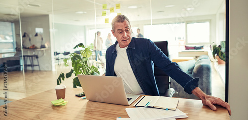 Mature businessman working on a laptop and reading a dayplanner photo