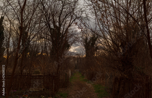 the road to the cemetery at dusk