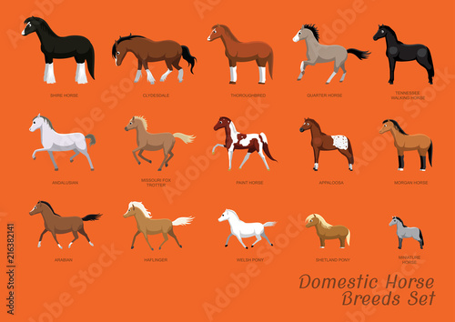 Domestic Horse Breeds Set Cartoon Vector Illustration