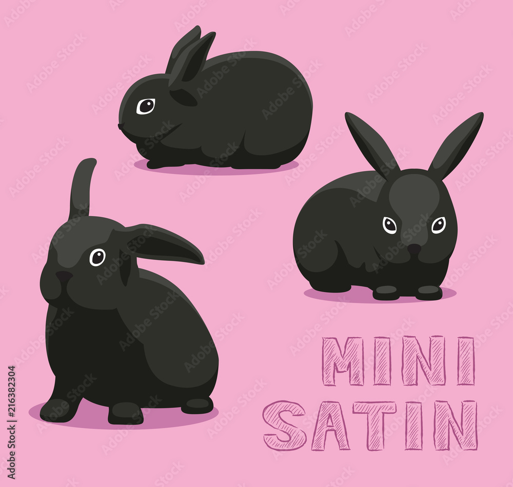 Fototapeta premium Rabbit Mini Satin Cartoon Vector Illustration