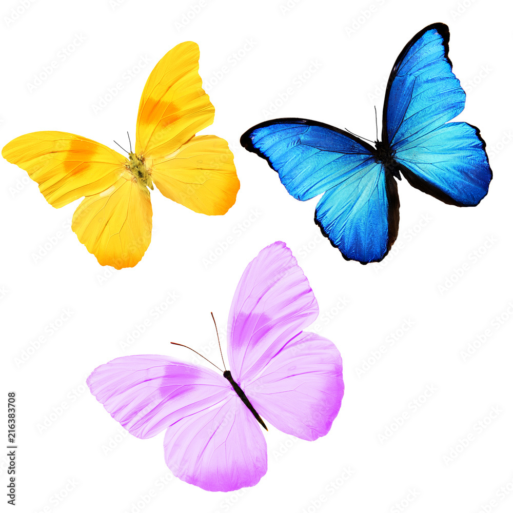 Фигурки Вафельные - Бабочки Разноцветные 10шт купить в интернет-магазине Уголок кондитера