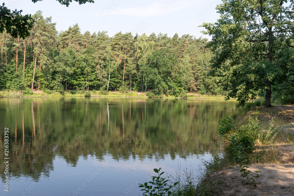 Beautiful forest lake with reflection of trees in the water Beautiful forest lake with reflection of trees in the water