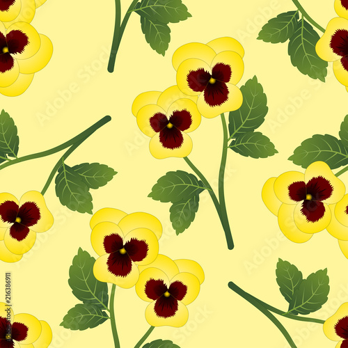 Yellow Pansy Flower on Ligh...