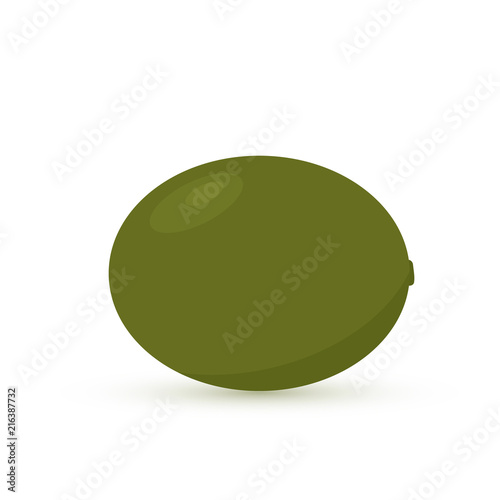 Kiwi icon flat style. Tropical fruits isolated on white background. Natural organic food concept. Fresh fruits vector illustration.