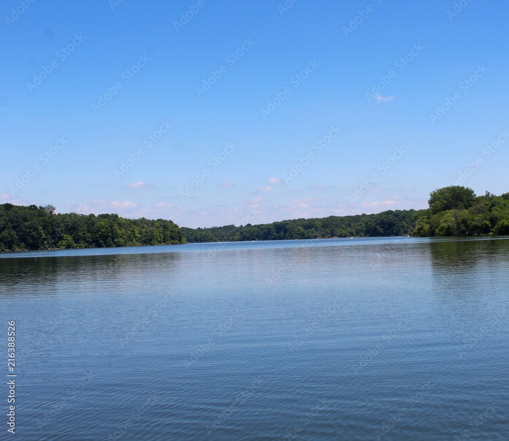 A clear sky morning at the lake in the park.