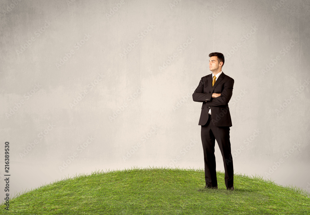 A successful caucasian elegant business man standing in small green grass with briefcase in front of clear empty background concept. A successful caucasian elegant business man standing in small green grass with briefcase in front of clear empty background concept.