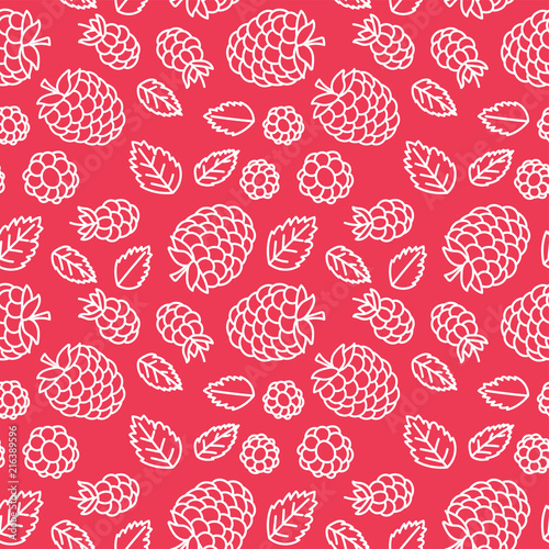 Raspberry seamless pattern. Hand drawn fresh berry. Vector sketch background. Doodle wallpaper. Red and white line print