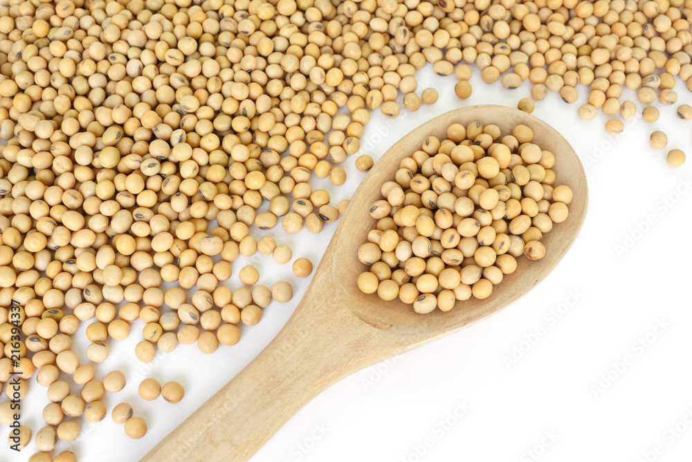 soy bean plant seed healthy vegetable food nature background soy bean plant seed healthy vegetable food nature background