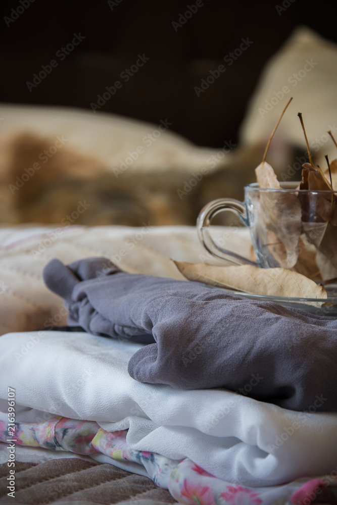 Cozy indoor autumn mood, female clothes folded on the bed with a coffee mug full of autumn leaves on it, and a sleeping cat in the background