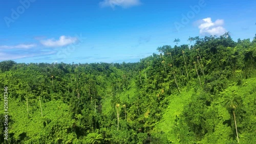 View of beautiful valley with the forest near Fuipisia waterfall in Samoa photo