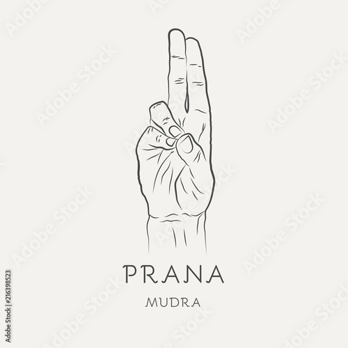Prana mudra - gesture in yoga fingers. Symbol in Buddhism or Hinduism concept. Yoga technique for increase vitality and activate the muladhara chakra. Vector illustration isolated on white background.