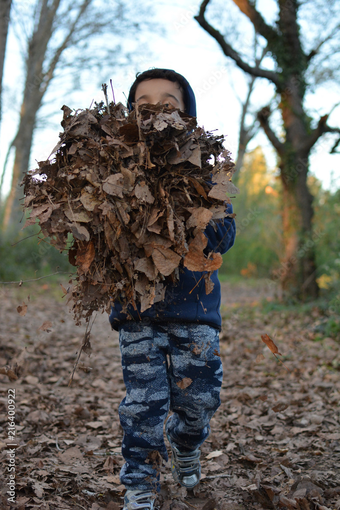 CHILD PLAYING WITH AUTUMN LEAVES ON THE FOREST