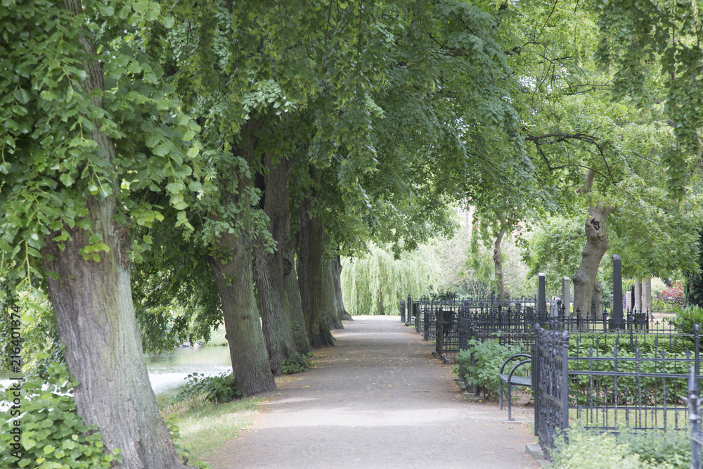 Path in Old Cemetery Park, Malmo