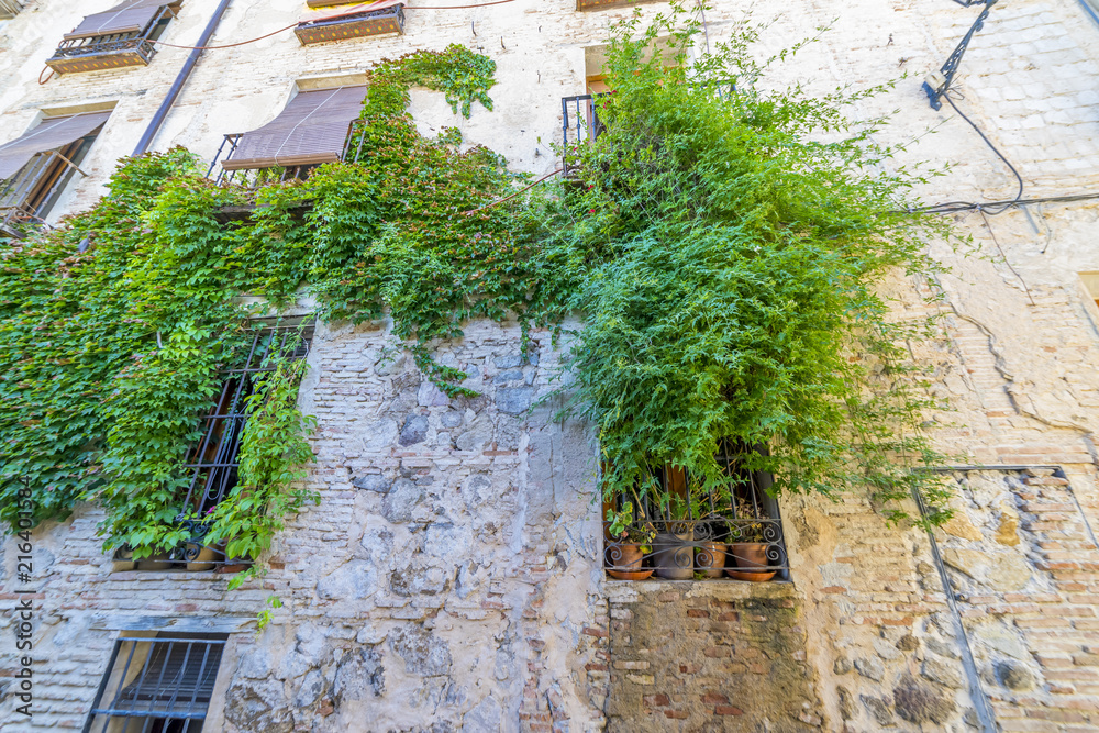 Fototapeta premium Stone house wall with green plant vines in the streets of the Spanish city of Toledo
