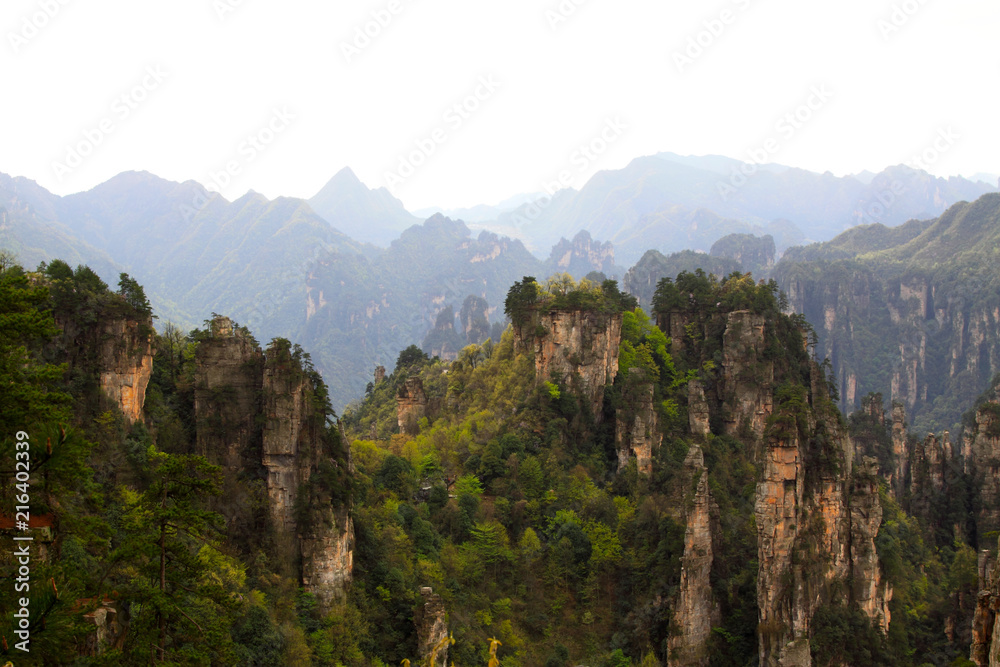 TianZi Mountain natural scenery TianZi Mountain natural scenery