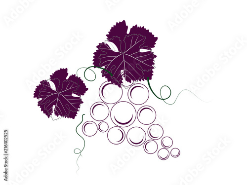 Tableau sur toile Cacho de uvas com folhas e gavinhas