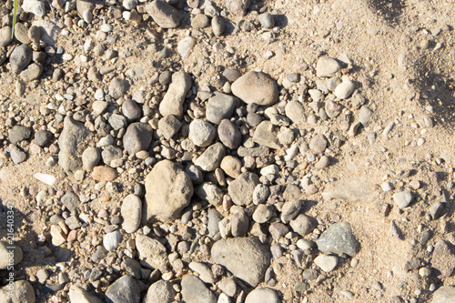 Природа вокруг нас