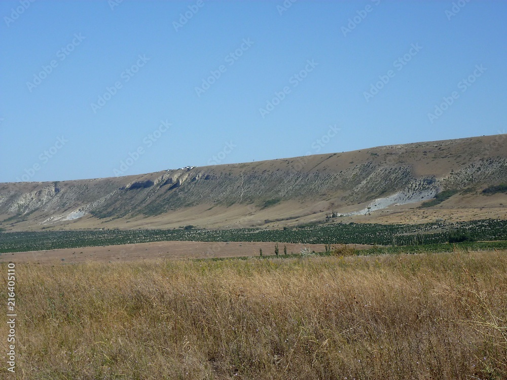 Крымские виноградники среди сухой и безжизненной долины