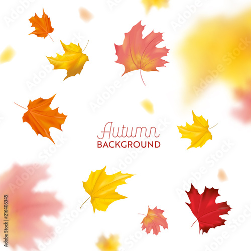 Autumn Background with Red and Yellow Maple Leaves. Nature Fall Seasonal Design Template for Web Banner  Leaflet  Sale  Poster. Vector illustration