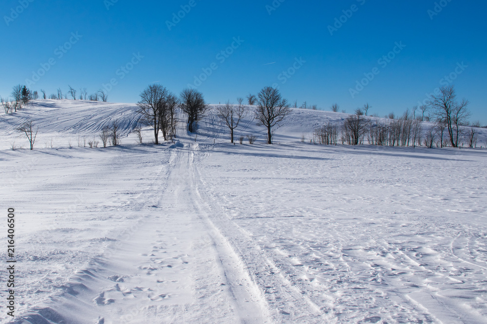 Winterlandschaft bei Altenberg mit Wanderweg Winterlandschaft bei Altenberg mit Wanderweg