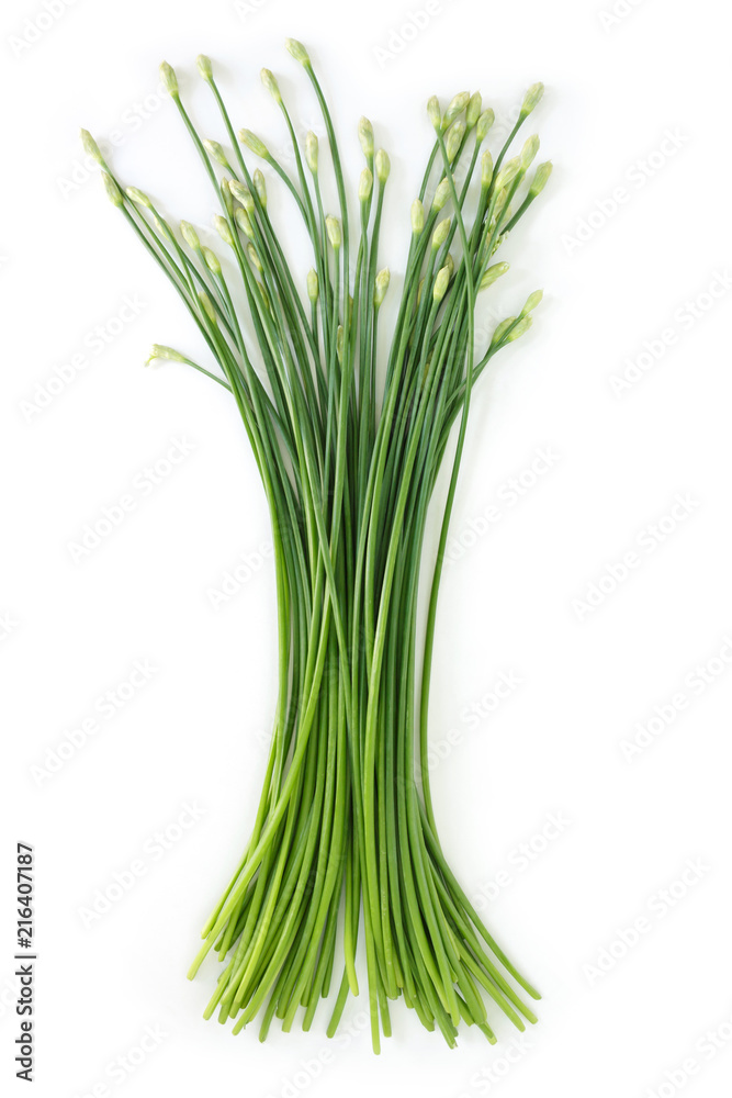 chinese chive flowerring onions stalk vegetable food nature background