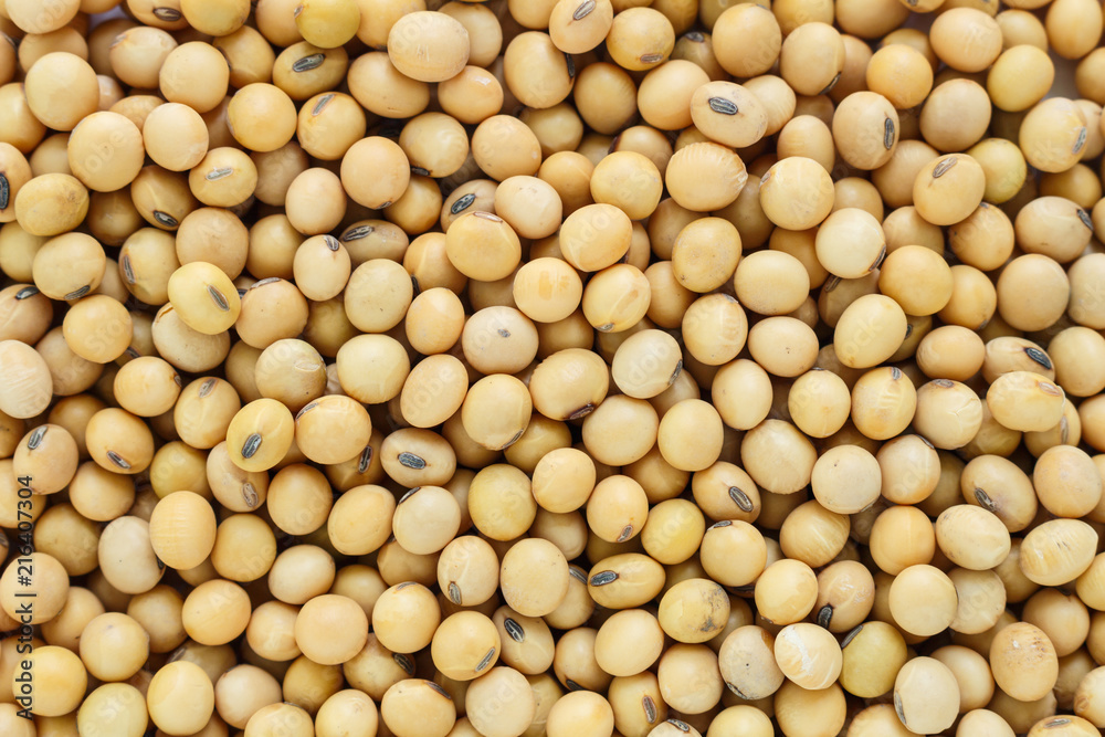 soy bean plant seed pile healthy vegetable food nature background soy bean plant seed pile healthy vegetable food nature background