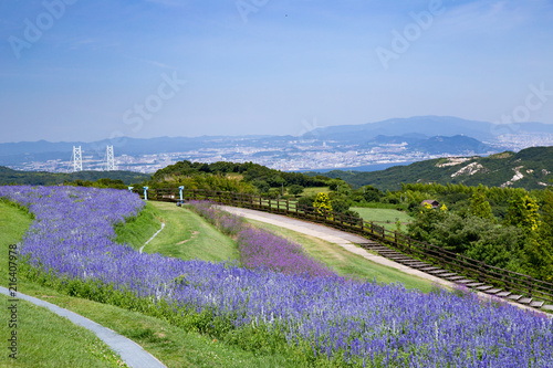 風景