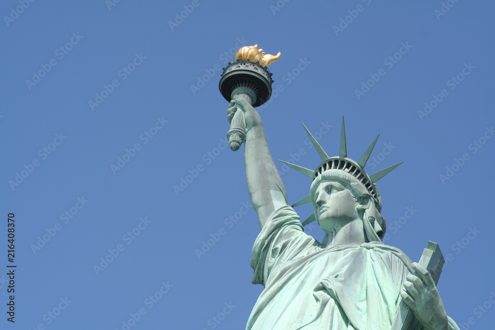 Fototapeta premium Statue of Liberty (New York City)